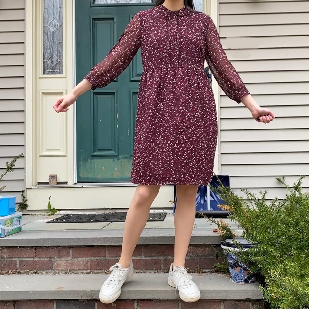 Uniqlo Peter Pan Collar Chiffon Dress